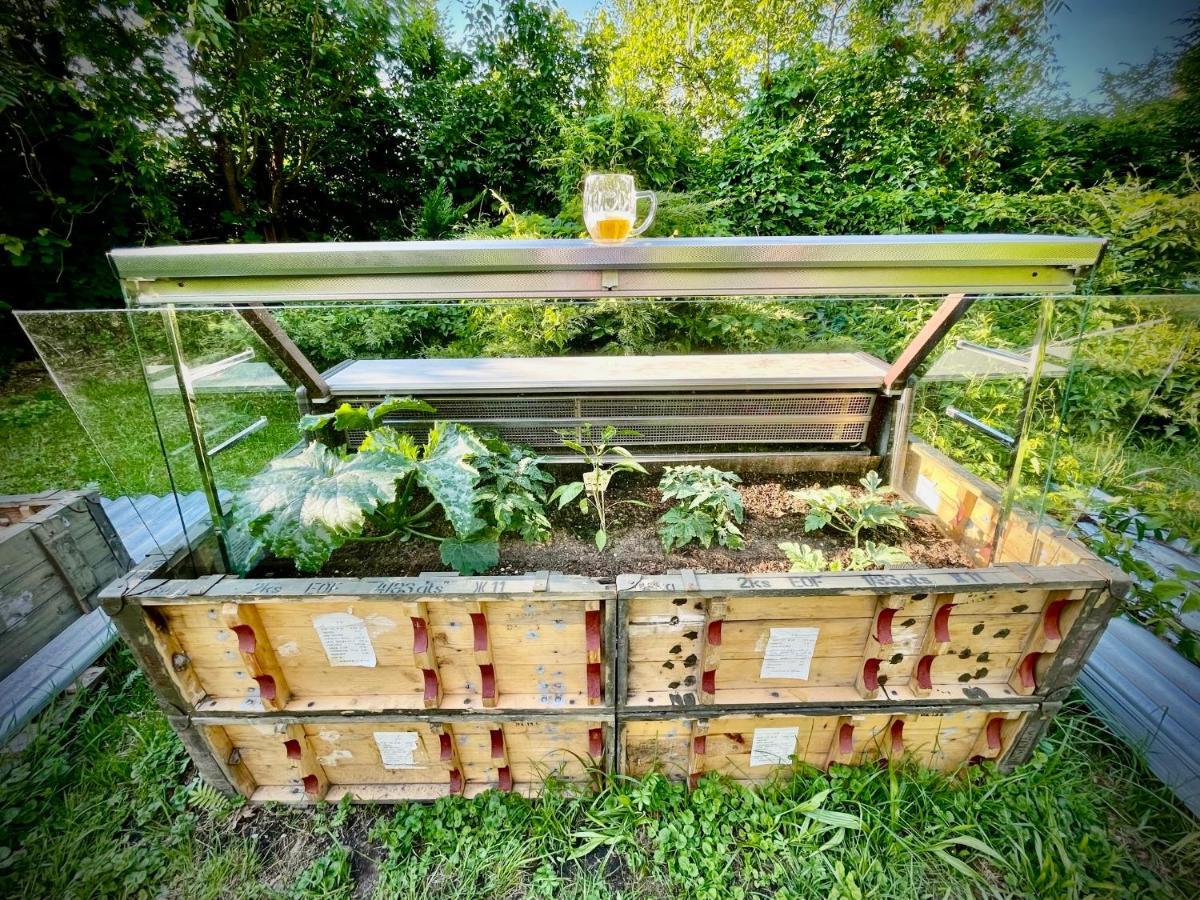 Haraburdi Recyclart Hotel Kostelec nad Orlicí Екстериор снимка